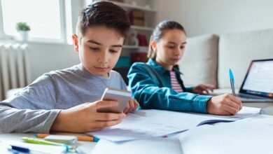 Technology to Help Students Take Responsibility for Idea Improvement