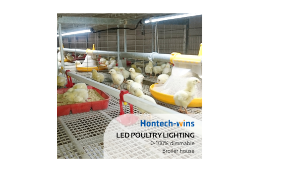 4 Popular Hontech Wins' Agricultural LED Lighting