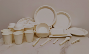 Sustainable and Affordable: Ecosource's Disposable Plates Wholesale